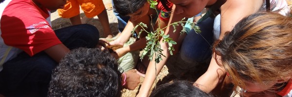 Atividade de Arborização na Escola José Padilha de Souza - Juazeiro - BA, 18/09/2013