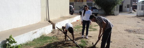 Atividade de Arborização na Escola Carmen Costa, Bairro Alto da Aliança - Juazeiro - BA, 20/09/2013